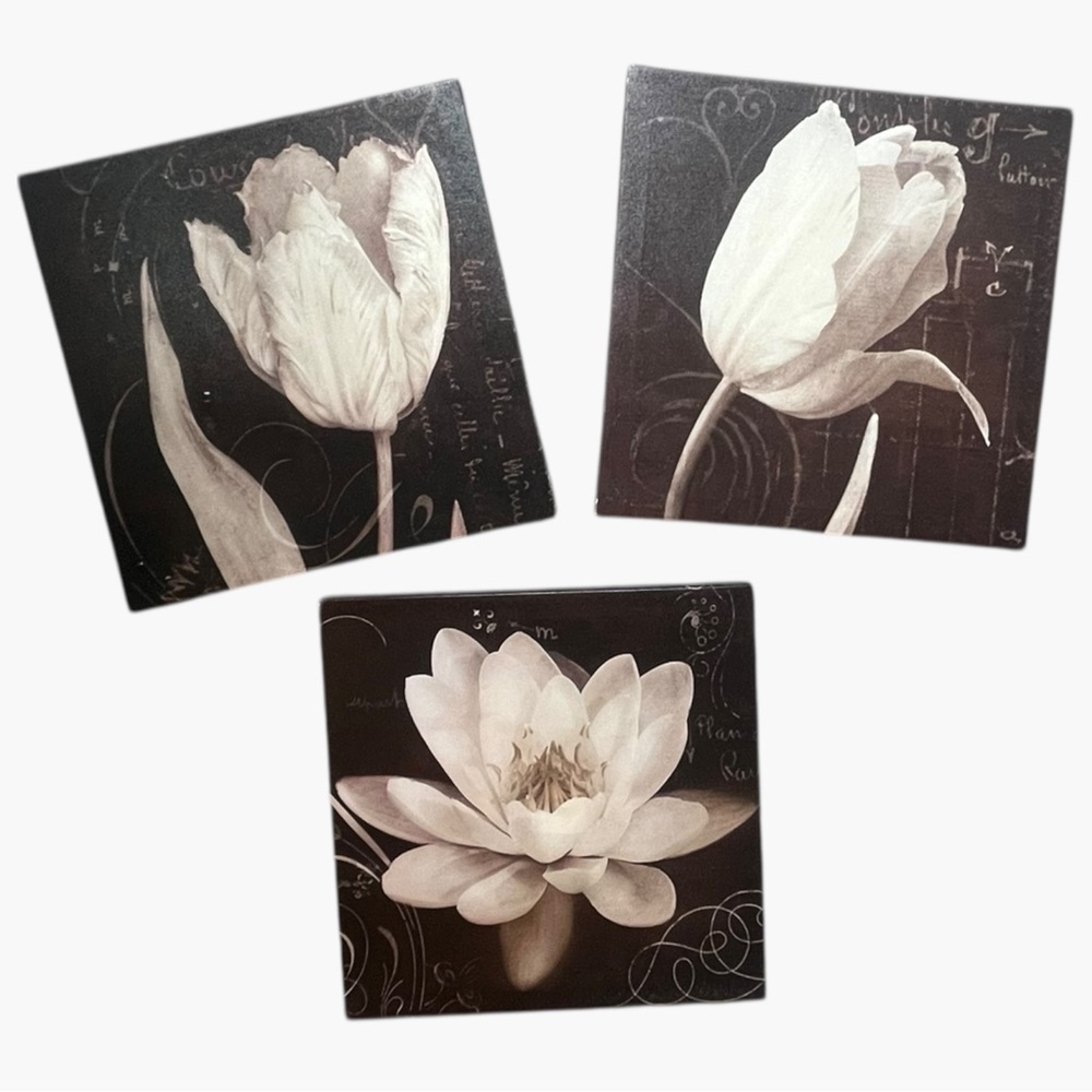 Floral Canvas Wall Art Set of 3 - Garden Architecture - 12x12 in each